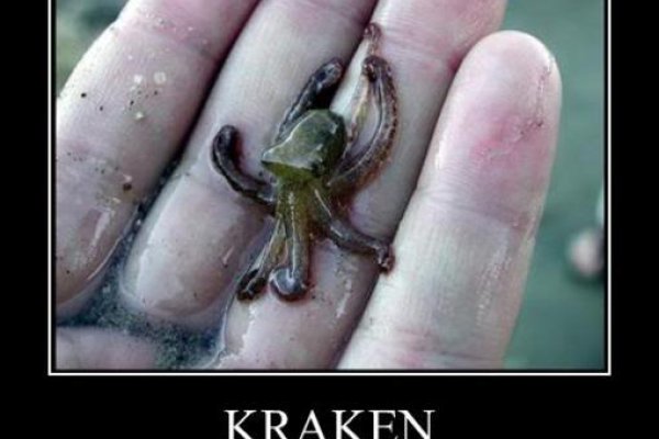 Официальный сайт kraken kraken clear com